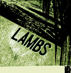 Lambs