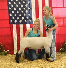 Lambs
